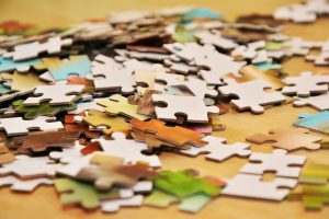 La importancia del mundo digital para el sector porcino